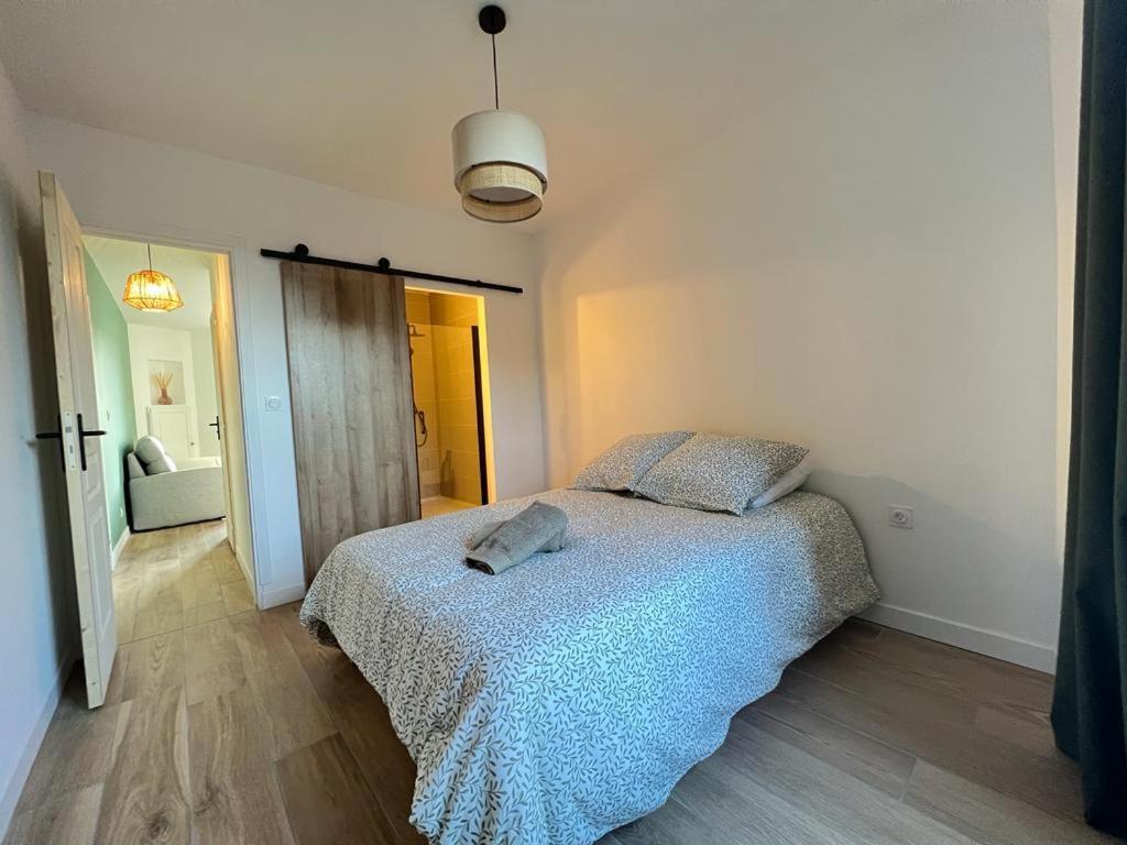 Appartement Coup De Coeur. St Etienne-Rochetaillee Saint-Etienne  Zewnętrze zdjęcie